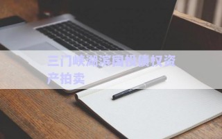 三門峽湖濱國投債權資產拍賣