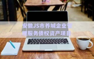 安徽JS市養城企業管理服務債權資產項目