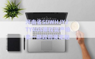 河南省SDWHJYJTYXGS債權資產拍賣一期政府債定融