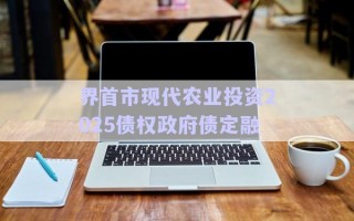 界首市現代農業投資2025債權政府債定融