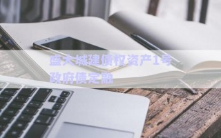 盛大城建債權資產1號政府債定融