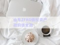 山東ZFKG債權(quán)資產(chǎn)政府債定融