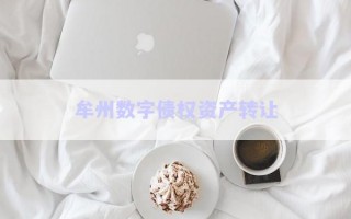 牟州數字債權資產轉讓
