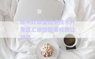 林州紅旗渠經濟技術開發區匯通控股債權轉讓項目