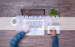 武陟縣城市建設(shè)投資開發(fā)2025年債權(quán)項目政府債定融