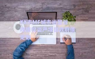 XX市MF城市運營管理債權資產項目政府債定融