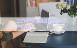 三門峽湖濱國投債權資產拍賣