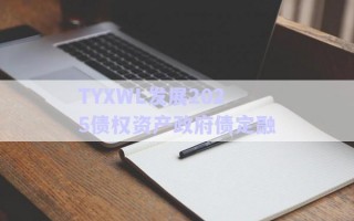 TYXWL發展2025債權資產政府債定融