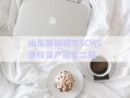 山東鄒城城市SCWL債權資產拍賣二期