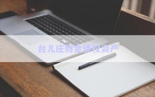 臺兒莊財金債權資產