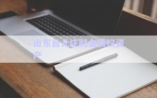 山東臺兒莊財金債權資產