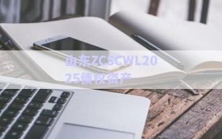 山東ZCSCWL2025債權資產