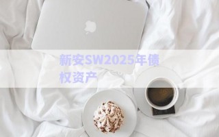 新安SW2025年債權資產