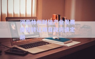 河南林州財信產業發展債權轉讓項目政府債定融
