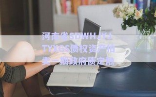 河南省SDWHJYJTYXGS債權資產拍賣一期政府債定融