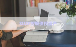 SDZF控股債權資產