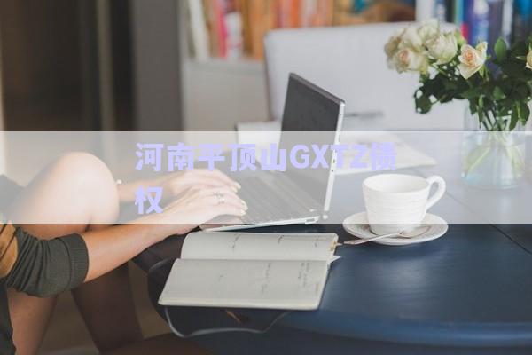 河南平頂山GXTZ債權-第1張圖片-政信固收網