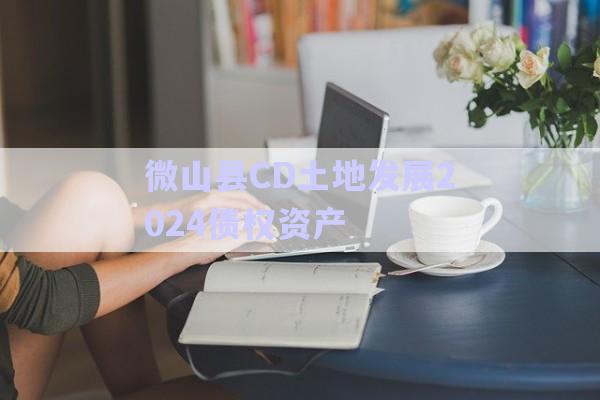 微山縣CD土地發展2024債權資產-第1張圖片-政信固收網
