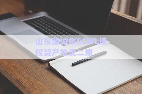山東鄒城市SCWL債權資產拍賣二期-第1張圖片-政信固收網
