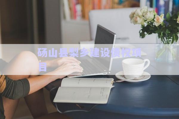 碭山縣梨鄉建設債權項目-第1張圖片-政信固收網