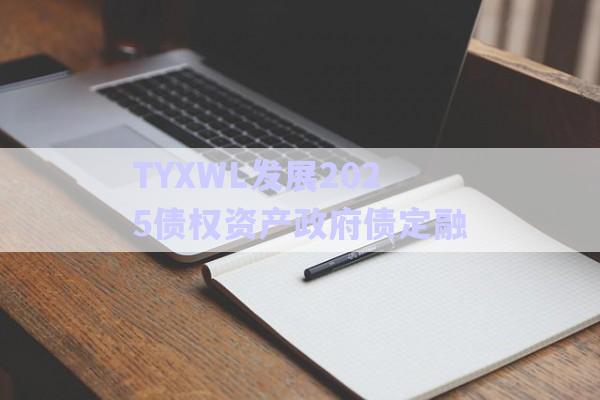 TYXWL發展2025債權資產政府債定融-第1張圖片-政信固收網