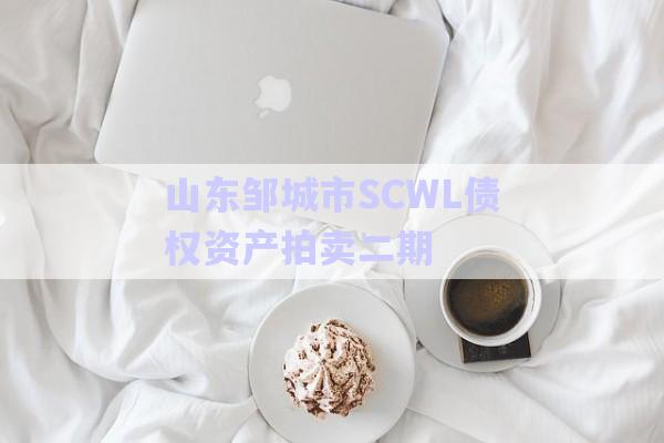 山東鄒城市SCWL債權資產拍賣二期-第1張圖片-政信固收網