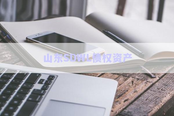 山東SDWL債權資產-第1張圖片-政信固收網