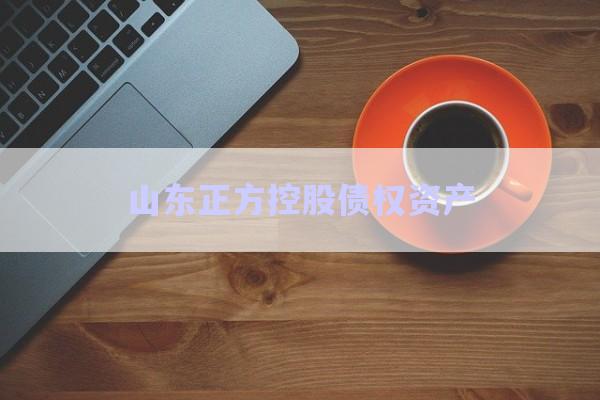 山東正方控股債權資產-第1張圖片-政信固收網