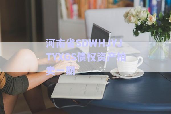 河南省SDWHJYJTYXGS債權資產拍賣一期-第1張圖片-政信固收網
