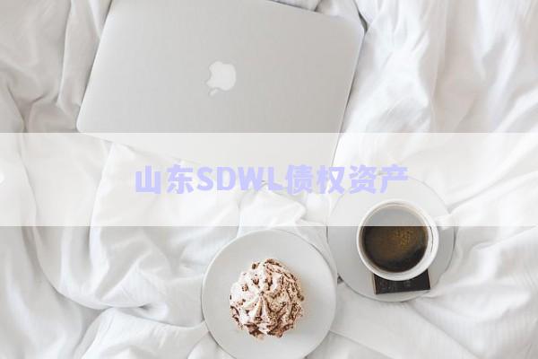山東SDWL債權資產-第1張圖片-政信固收網